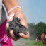 Chhatisgarh Environment Pollution destroys fertile farms