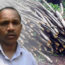 Goa Community Saves Forest