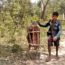 Tharu Adivasi Community Not Allowed Entry into Forest in Bihar, Video Volunteers reports.