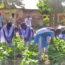 A story of video volunteers on students learning organic farming in Odisha